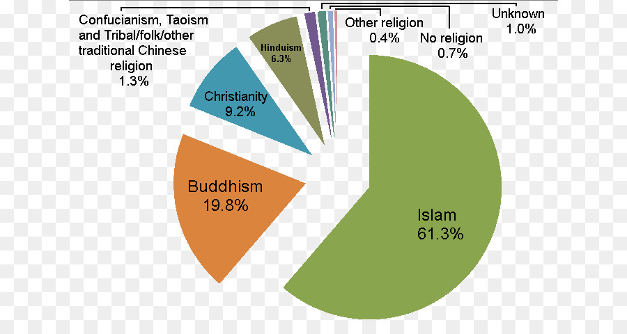 Pie Chart Distribution of Reincarnation Beliefs